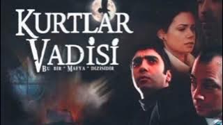Gökhan Kırdar: Ebruli E11V V1 (Original STLibrary) #KurtlarVadisiPusu #WalleyOfTheWolves