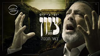 יוסי בייליס - ציון במר תבכה