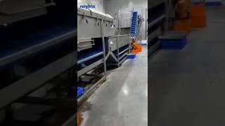 Frozen Vegetable Processing Line | Automatic IQF Frozen Vegetable Making Machine #Frozen #vegetable