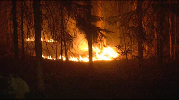 Proč vznikají lesní požáry?