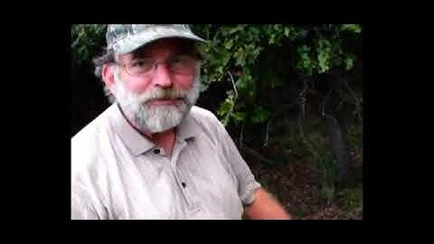 How to Use a Box Blade to Make a Gravel Road