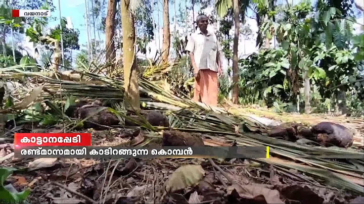 കാട്ടാനപ്പേടിയിൽ സുല്‍ത്താന്‍ ബത്തേരി നൂല്‍പ്പുഴ പഞ്ചായത്തിലെ വടക്കനാട് പള്ളിവയല്‍ പ്രദേശം