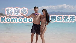 科摩多Komodo海洋渡假天堂！大自然的天然水族館！世界最大蜥蜴！潛水旅遊之旅 screenshot 5