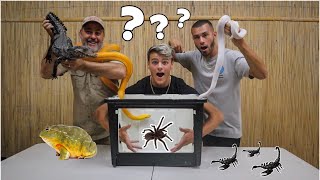 GUESS WHATS IN THE BOX CHALLENGE | Animal Edition