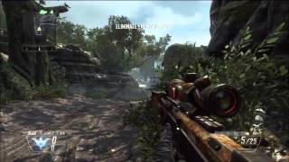 SICK BO2 SPAWN SHOT COLLAT!