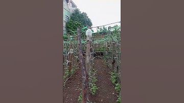 Tập 424: Lô đất 80 m² view suối thơ mộng, ngay mặt đường nhựa – vị trí đẹp tại phường Tam Điệp!