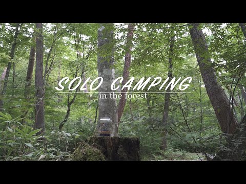 今年初めての【ソロキャンプ】【Solo Camping】for the first time this year