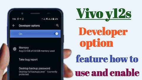 vivo y12s Developer option features how to use and enable