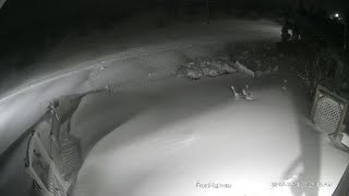 Snow Storm Nova Scotia Feb 25, 2024 time lapse