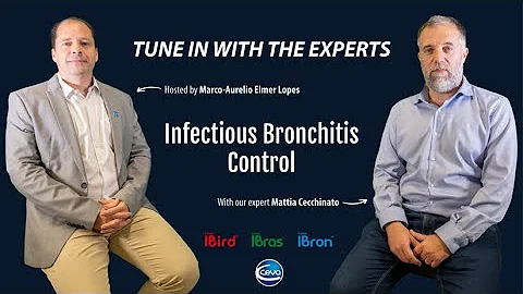 Infectious Bronchitis control (with Mattia Cecchinato)