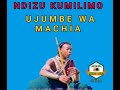 NDIZU KUMILIMO UJUMBE WA MACHIA BY PETER MWAMBA 0784014287 NDIZU KUMILIMO UJUMBE WA MACHIA BY PETER MWAMBA 0784014287