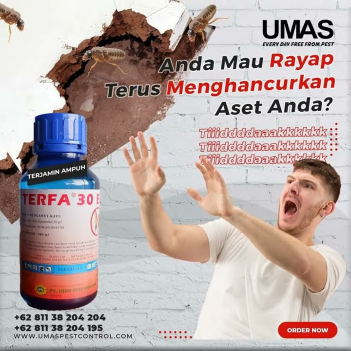 Obat Paling Ampuh Pembasmi Rayap