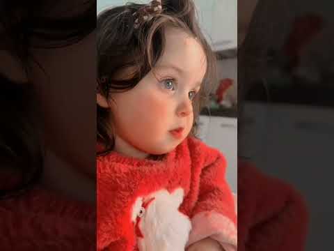 فقدوا الدم العسل 
