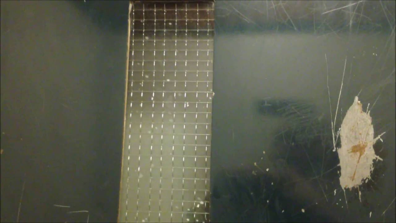 Old service Express lift/elevator @ LSBU - YouTube