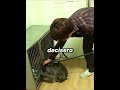 🐒❤️ La scimmietta che ritrovò il coraggio grazie a un cane