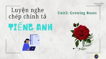 Luyện nghe chép chính tả tiếng Anh | Unit 3 - Book 1 - Level 1