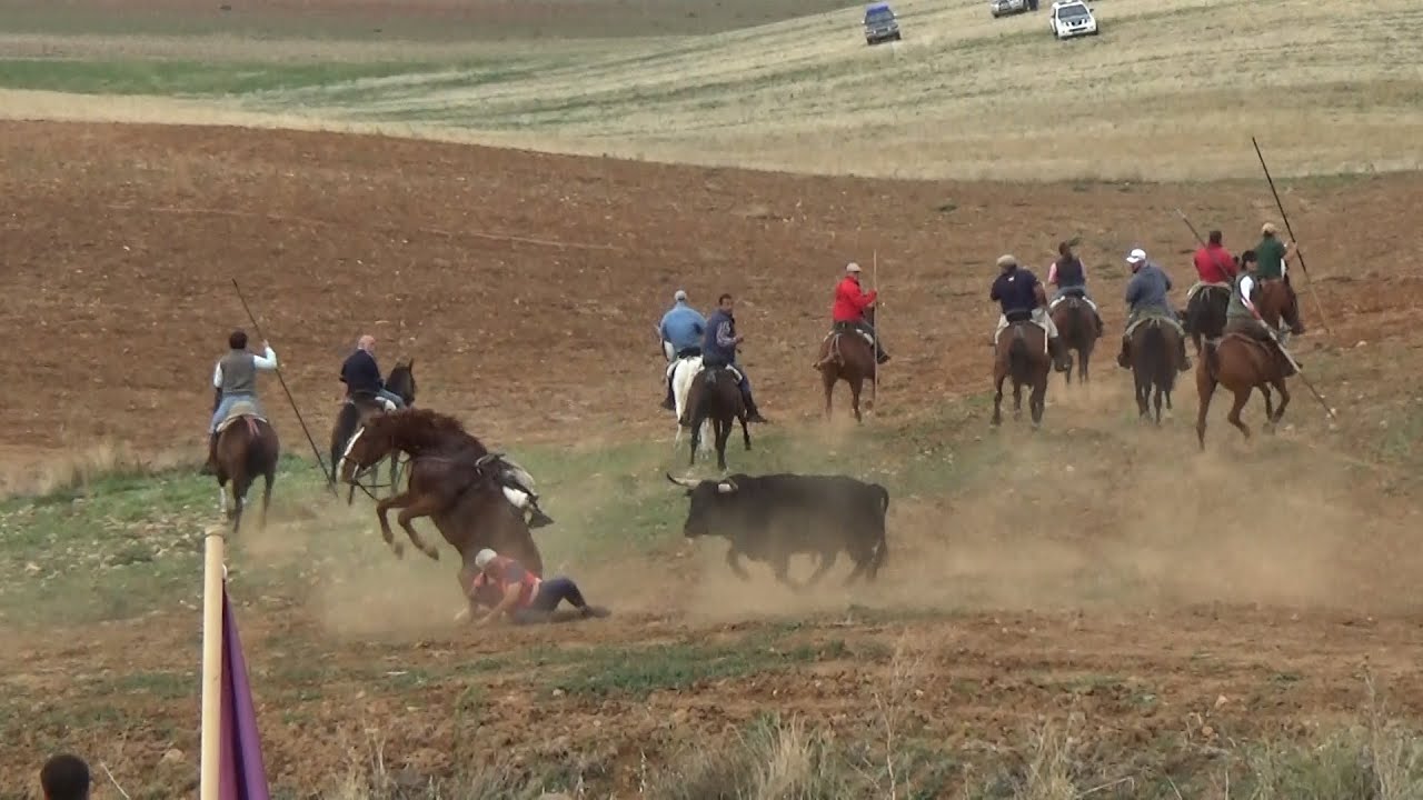 Encierro de "Málaga del Fresno" 07 - 10 - 2024 El Caballo Pierde las Manos GuadaEncierros
