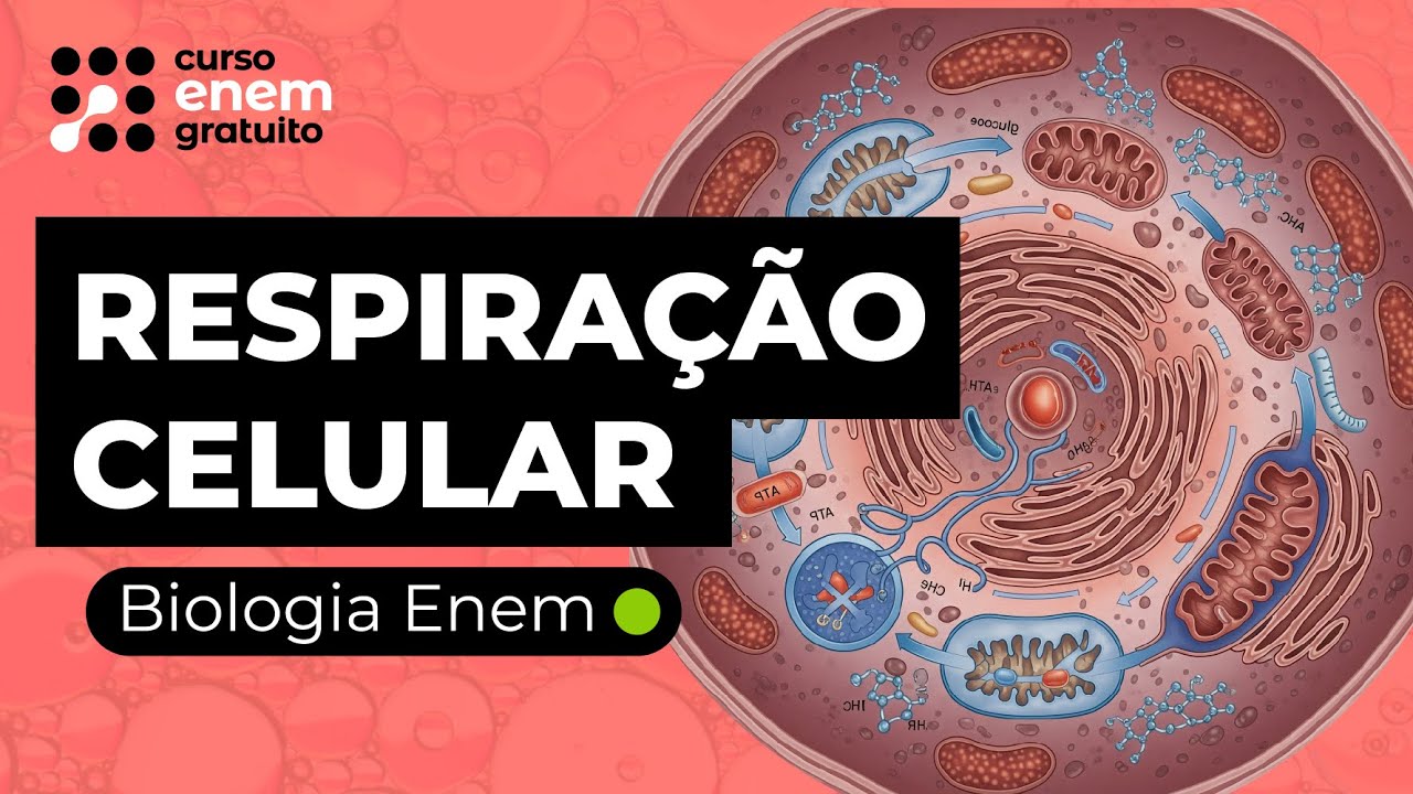 RESPIRAÇÃO CELULAR | Biologia para o Enem | Cláudia de Souza Aguiar