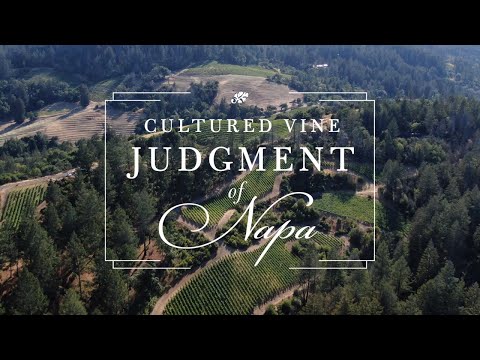 Cultured Vine's Judgment of Napa Event