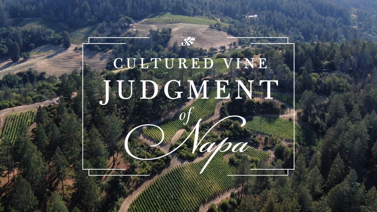 Judgment of Napa — Cultured Vine