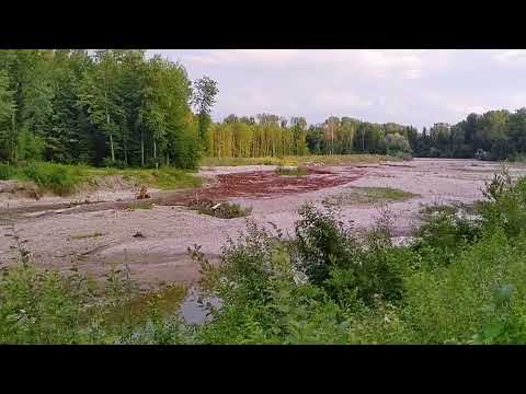 Emme River - Engineered Log Jams - flash flood