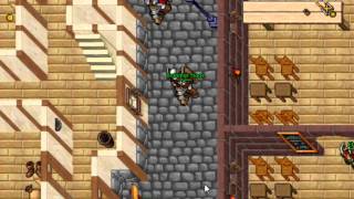 Tibia Pk Neptera - Operação Morango Part 4