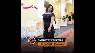 Таттыбубу Кенжеева - Кайдасын махабат