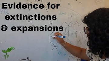 Evidence for extinctions and expansions | Introduction to Earth systems | meriSTEM