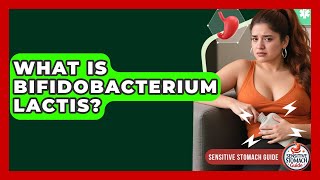 What Is Bifidobacterium Lactis? - Sensitive Stomach Guide