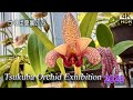 【Rare Wild Orchids!】 Tsukuba Orchid Exhibition 2025 at a World-Class Conservation Center.つくば蘭展2025.