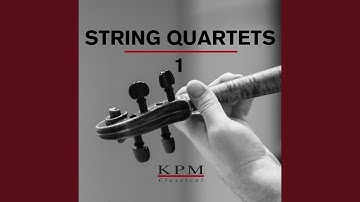 String Quartet No. 14 in C-Sharp Minor, Op. 131: II. Allegro molto vivace