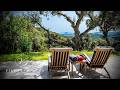 A Day In The Life Of A Country Villa In Casares Villas Fincas Andalusia Southern Spain 