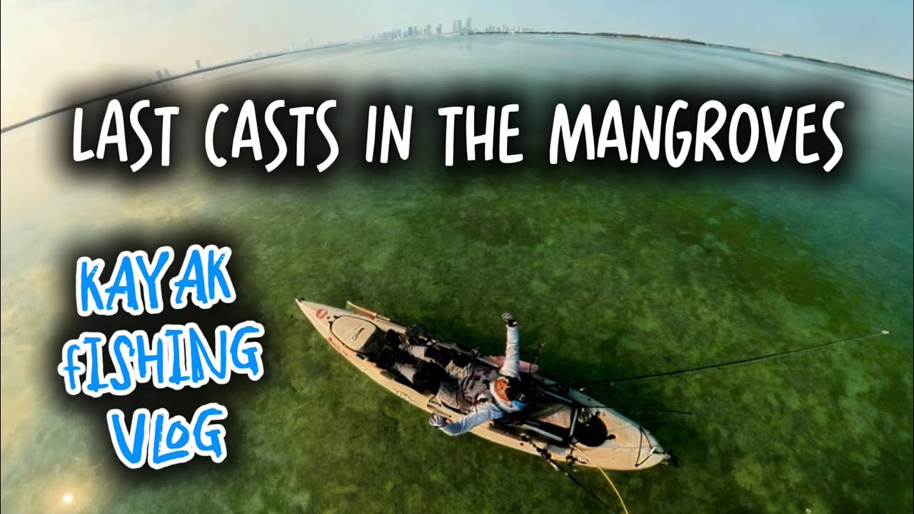 FISHING ABU DHABI VLOG - LAST CASTS IN THE MANGROVES 