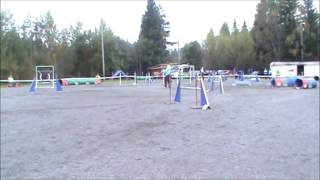 Varkaus 11.9.2016 C-hr, Almur by Jutta Pyörre 14 views 7 years ago 1 minute, 4 seconds