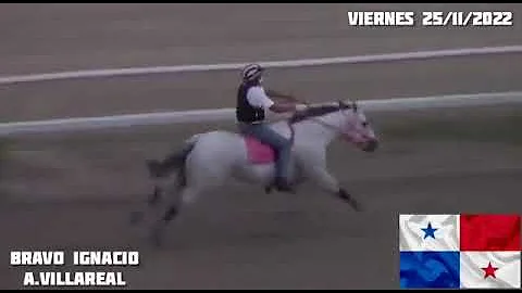 BRAVO IGNACIO - Galope - Copa De Importados 2022