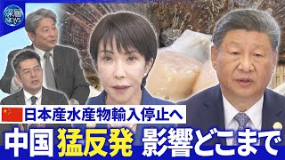 中国が日本産水産物輸入停止へ▽李強首相プーチン氏と会談▽国連会合でも非難【深層NEWS】