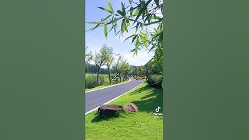 سورة الأحزاب بصوت القارئ الشيخ سعد الغامدي