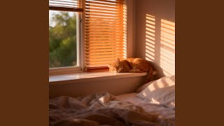 既然选择了你（那就永远是你）