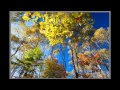 写真の秘訣 広角レンズで紅葉を撮るポイント