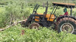 DESMATAMEMTO DE ALGAROBA COM TRATOR VALTRA 785