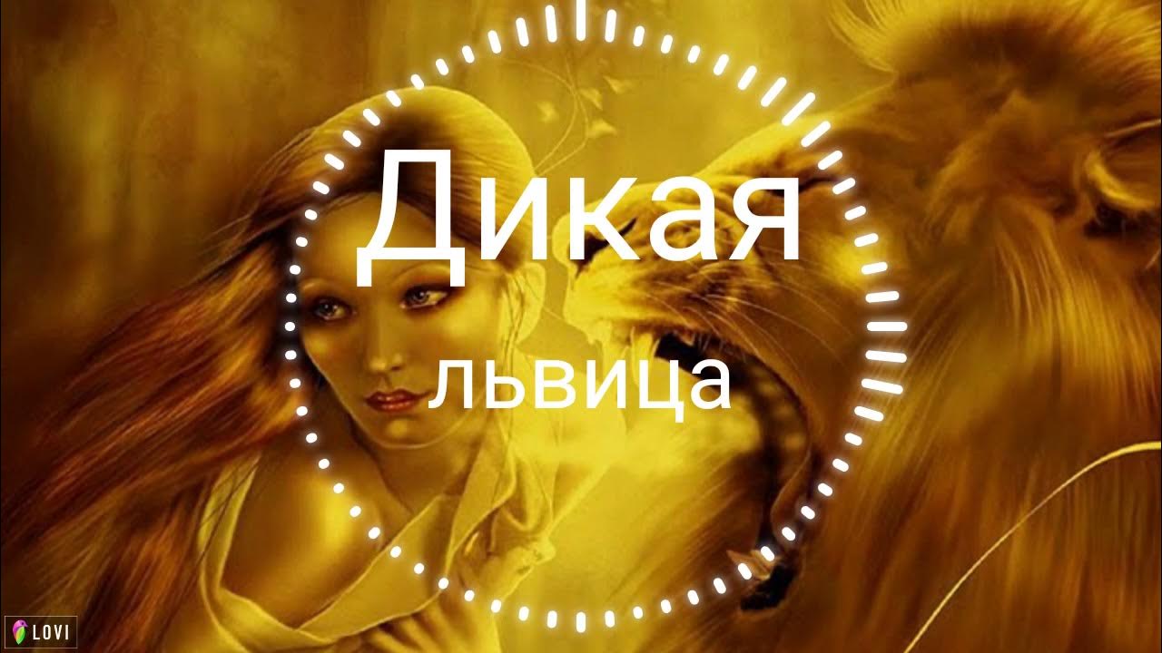 Песни дикими глазами. Дикая львица Alex & Rus. Алекс Дикая львица. Дикая львица ты моя царица.