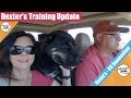 Dog🐾 Hates Travel🚗 So We Get Trained - DIY🔨 Epoxy Countertops Part 1