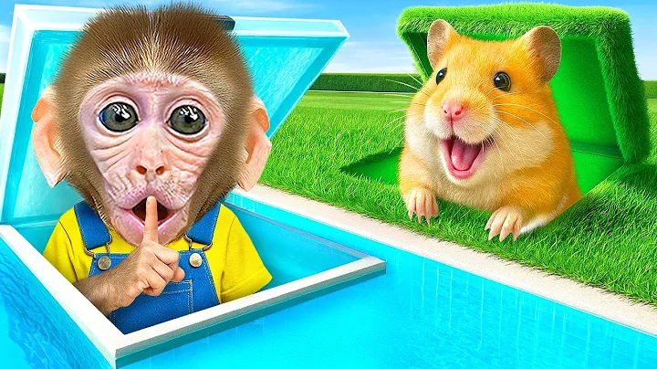 KIKI Monkey and His Duck Friend explore Secret Rooms in ONE COLOR | KUDO ANIMAL KIKI