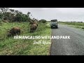 iSimangaliso Wetland Park, South Africa