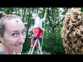 Will we get STUNG over HONEY? | Catching BEES 20 Feet Up in the Trees