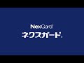 ネクスガード CM 2025年「大切なキミに、とびきりのケアを。」篇 15秒