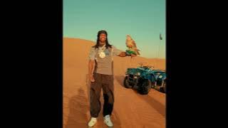 Polo G - High Tolerance (Unreleased) [NEW LEAK]