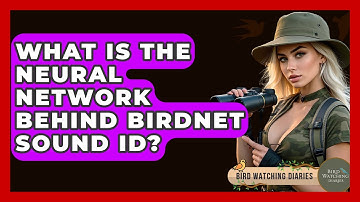 What Is The Neural Network Behind BirdNET Sound ID? - Bird Watching Diaries