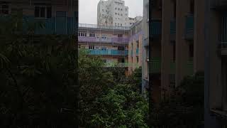 2025_08_06_(原)聖馬可小學