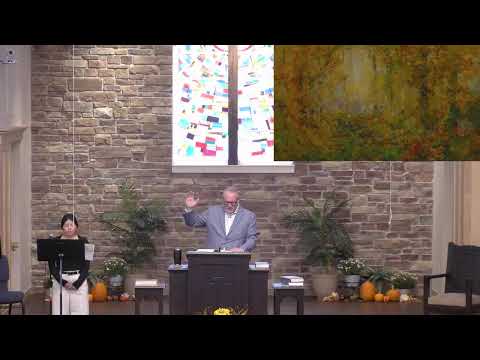 Related Embedded Video Item Thumbnail